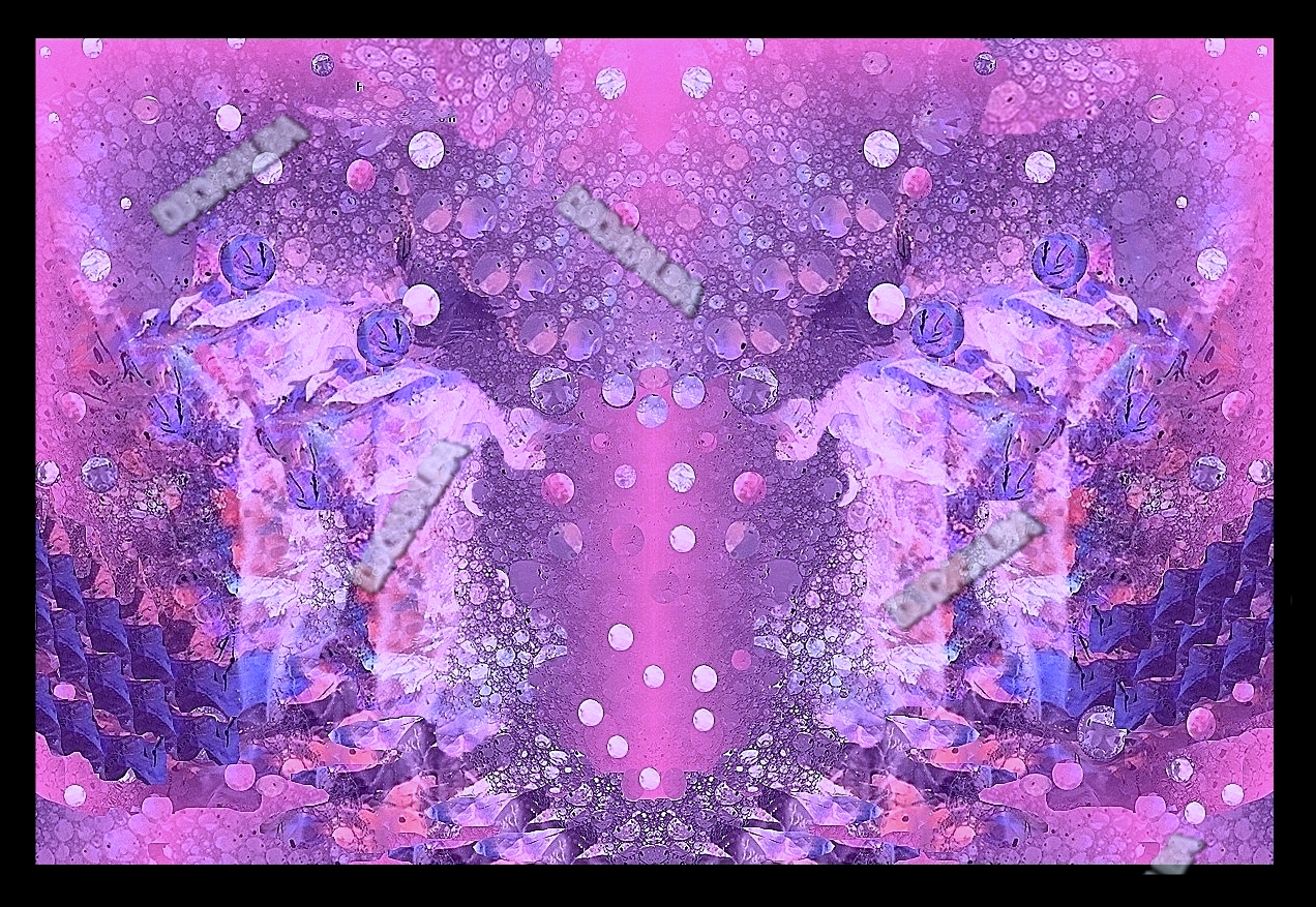 640.jpg